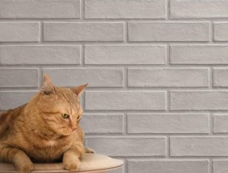 Плитка Marca Corona коллекция Chalk