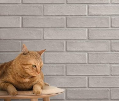 Плитка Marca Corona коллекция Chalk