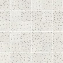 Apavisa Artec 7.0 White Natural Mosaic 5x5 29.75x29.75