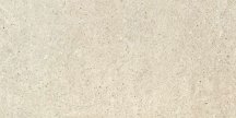 Apavisa Nanoconcept Beige Natural 29.75x59.55