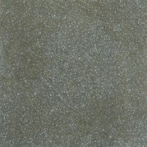 Apavisa Terrazzo Moss Natural 29.75x29.75