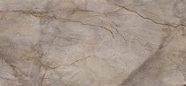 Apavisa Wild Forest Grey Natural Mix 119.3x260