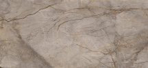 Apavisa Wild Forest Grey Polished Block-A 119.3x260