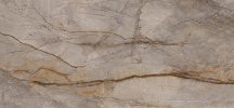 Apavisa Wild Forest Grey Polished Block-C 119.3x260