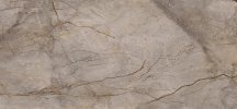 Apavisa Wild Forest Grey Polished Mix 119.3x260