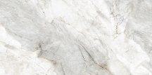 Art And Natura Marmo Palissandro White Glossy 60x120