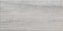 Arte Pinia Grey 22.3x44.8