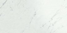 Atlas Concorde Marvel Stone Carrara Pure 60x120