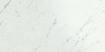 Atlas Concorde Marvel Stone Carrara Pure Lappato 60x120