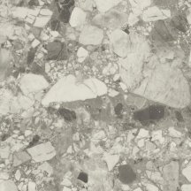 Atlas Concorde Russia Forte Dei Marmi Ceppo Apuano Pearl Lapp 80x80