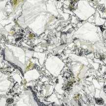 Atlas Concorde Russia Forte Dei Marmi Quark Ceppo Apuano Forest Rett 80x80