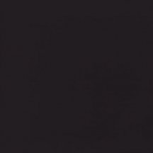 Casalgrande Padana Unicolore Nero Antibacterial 20x20