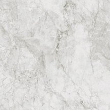 Century Contact Stone White Molata 120x120