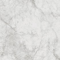 Century Contact Stone White Naturale 120x120