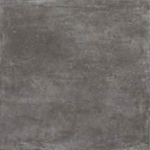 Century Fusion Dark Naturale 60x60