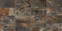 Century Geology Fossil Grip 25x50