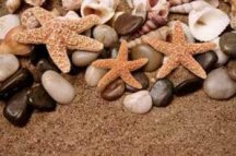 Ceramika Color Sonora Shells Deco Double 50x60