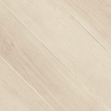 Cerdomus Antique Decor Ivory Fondi 60x60