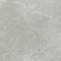 Cerim Exalt Silver Light Naturale 60x60