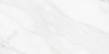 Colorker Insignia White Gloss 30.5x60.5