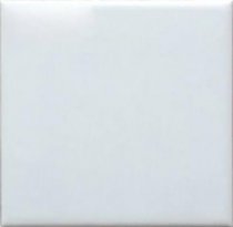 Dar Biselado Liso Blanco Brillo 10x10