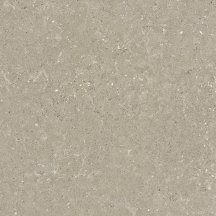 Del Conca Wild 11 Greige Rett Hard 60x60