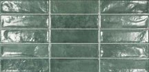 Ecoceramic Pool Green 31.6x60