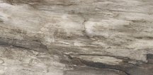 Emil Ceramica Petrified Tree Grey Bark Nat 45x90