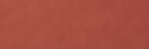 Fap Color Line Marsala 25x75