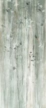 Fap Color Mood Green Trees Matt 120x278