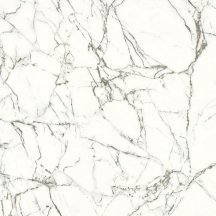 Gani White Carrara  60x60