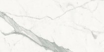 Graniti Fiandre Marble Lab Calacatta Statuario Honed 30x60