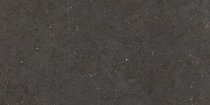 Graniti Fiandre Solida Black Prelucidato 30x60