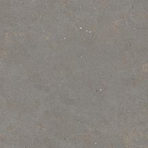 Graniti Fiandre Solida Grey Prelucidato 100x100