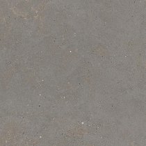 Graniti Fiandre Solida Grey Prelucidato 60x60