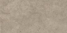 Impronta Italgraniti Silver Grain Taupe 30x60