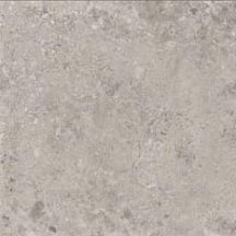 Magica Ceppo Stone 05 Ceppo Di Gre Brushed Rectified 60x60