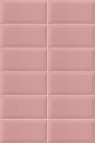 Mainzu Plus Bissel Pink 10x20