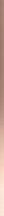 Marca Corona 4D Profile Gold Rose 2x80