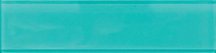 Natural Exclusive Color Palette Aqua Gloss 7.6x30.5