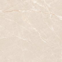 Neodom Rockstone Persian Beige Matt 120x120