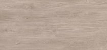 Neolith Timber Winter Dala Silk 150x320