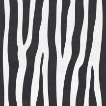 Ornamenta Jungle Zebra Key 60x60