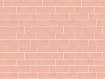 Ornamenta Pick N Brick Rosa 5x15