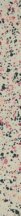 Petracers Carnevale Veneziano Listello Beige Plus 8x80