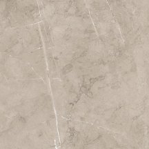 Porcelanite Dos Lyon Rectificado 5059 Vison 50x50