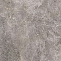 Porcelanosa Elegant Grey Pulido 59.6x59.6