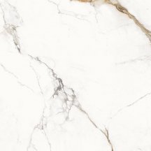 Provenza Unique Marble Paonazzetto Lappato 120x120