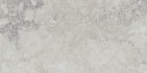 Provenza Unique Travertine Ancient Silver Naturale 60x120