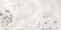 Ragno Maiora-Concrete Effect Botanical White Faccia B Rettificato 120x240